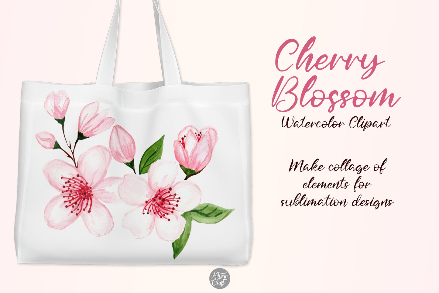 Cherry blossom watercolor clipart