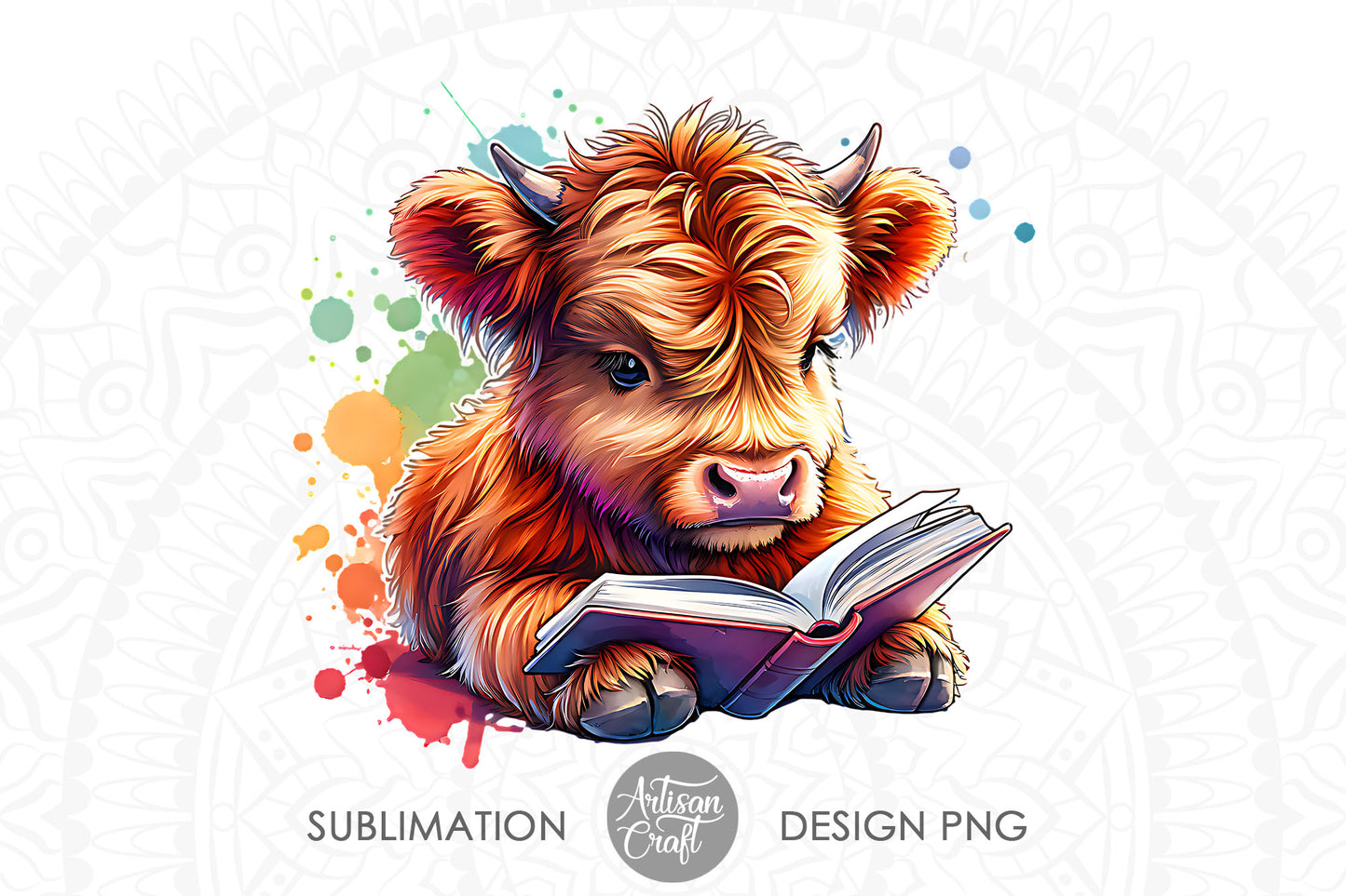 Cute Highland Cow, reading a book