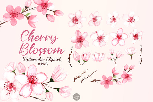 Cherry blossom watercolor clipart